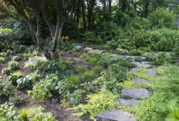 Darien, CT Garden Design
