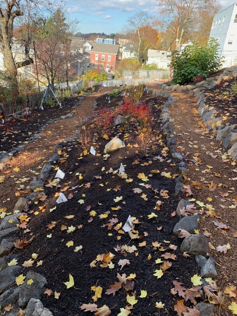 terraces for erosion control