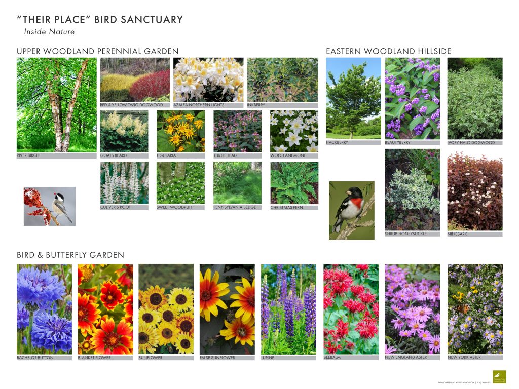 Pollinator Pathways Darien, CT | Landscape Design Case Studies - Green ...