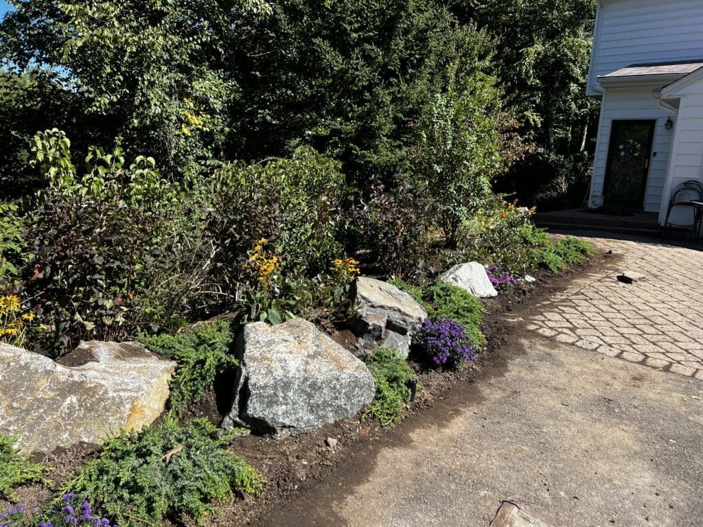 Landscape Design for Steep Slope Stabilization & Erosion Control | Old ...