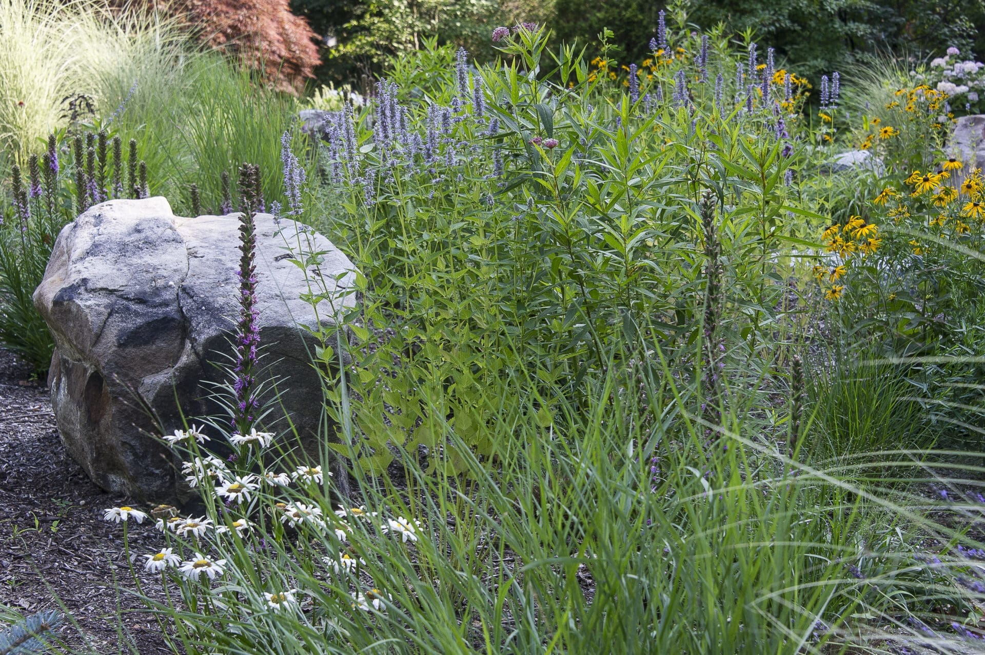 Landscape Design in Scarsdale, NY Curb Appeal and Stroll Gardens