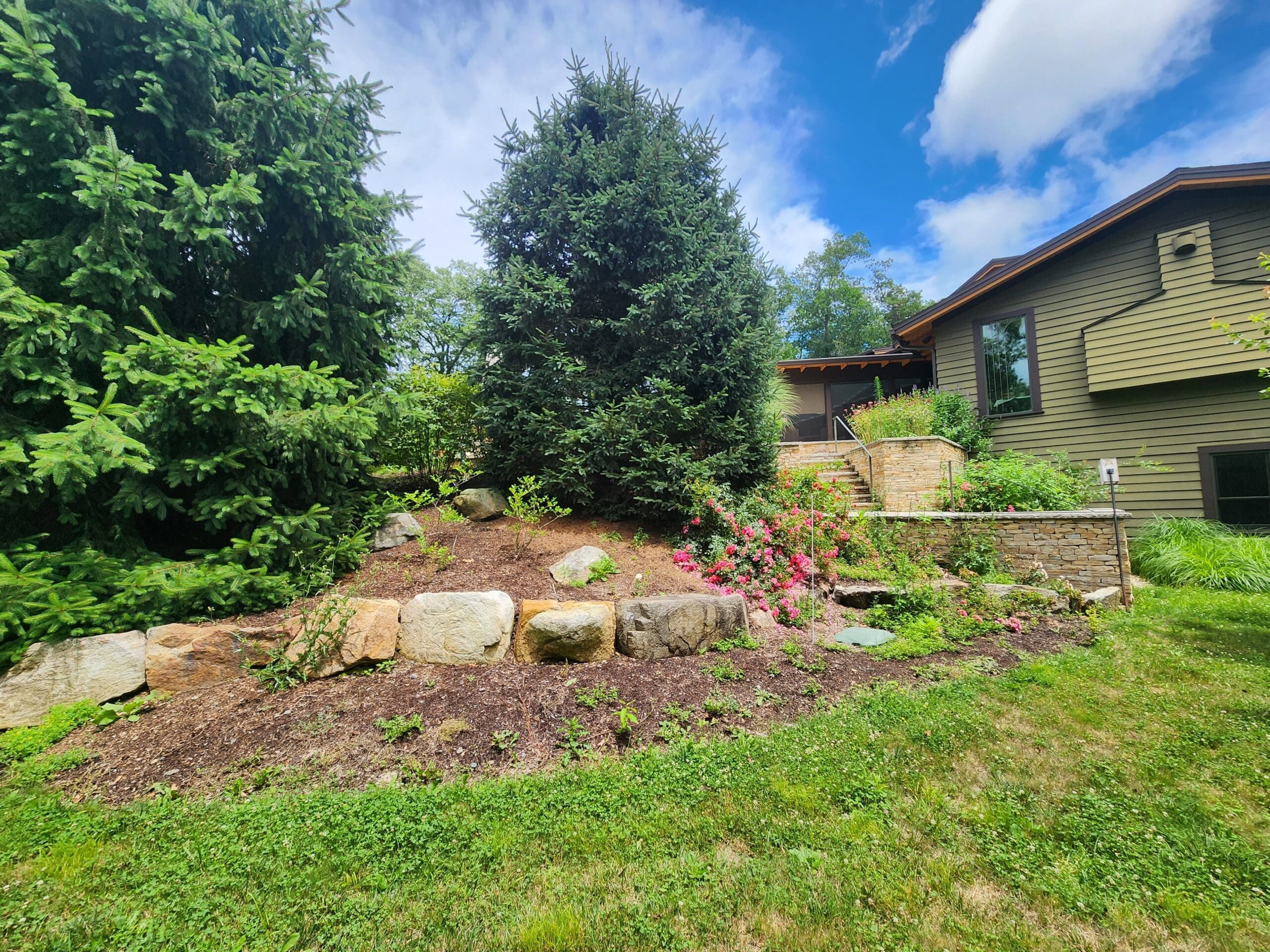 BEFORE PHOTO: this bare slope stood out because of the lack of vegetation layer between the lawn and mature trees.