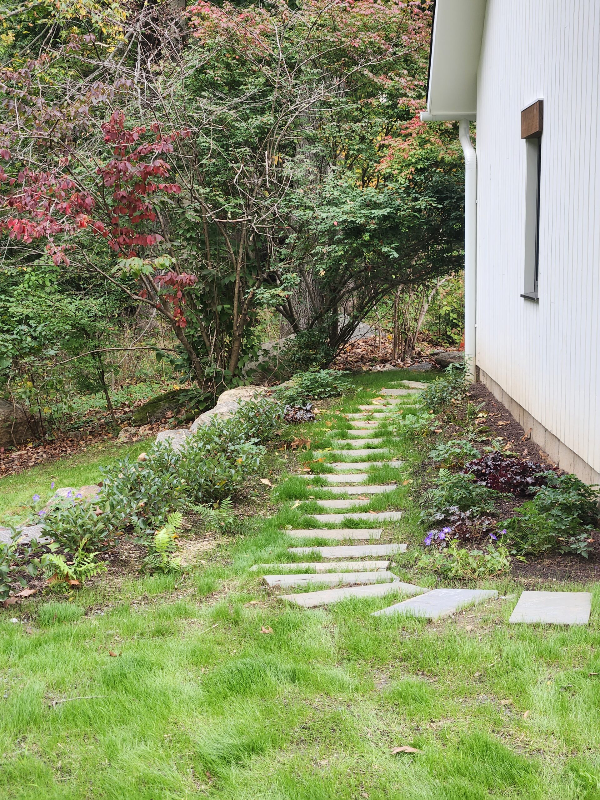 Native planting and steppingstone path leads around the garage to the shed.