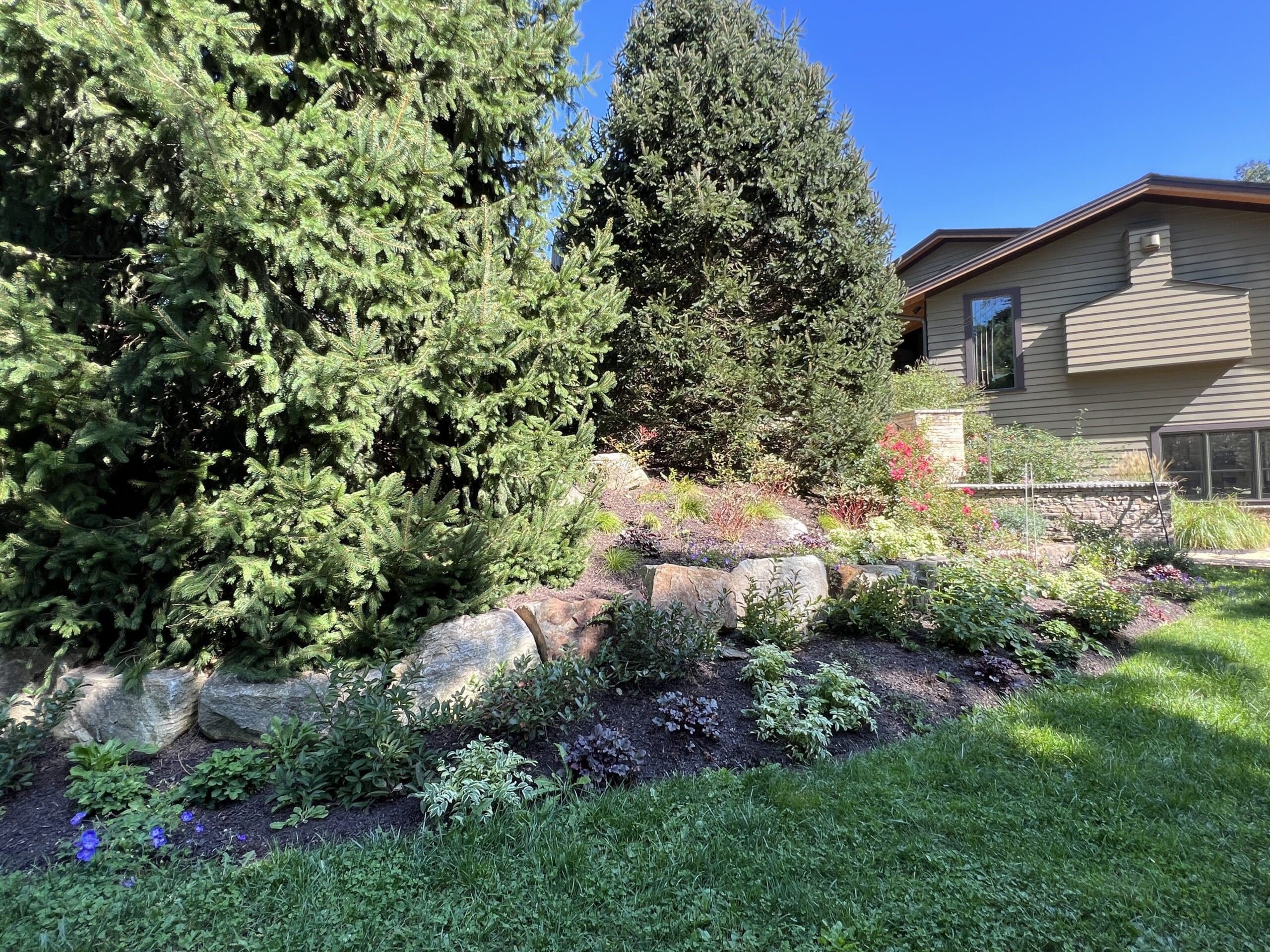 This new planting creates habitat and a layered visual transition.