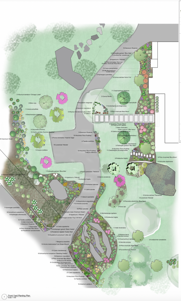 Front yard landscape plan for a contemporary new home in Fairfield County, CT.