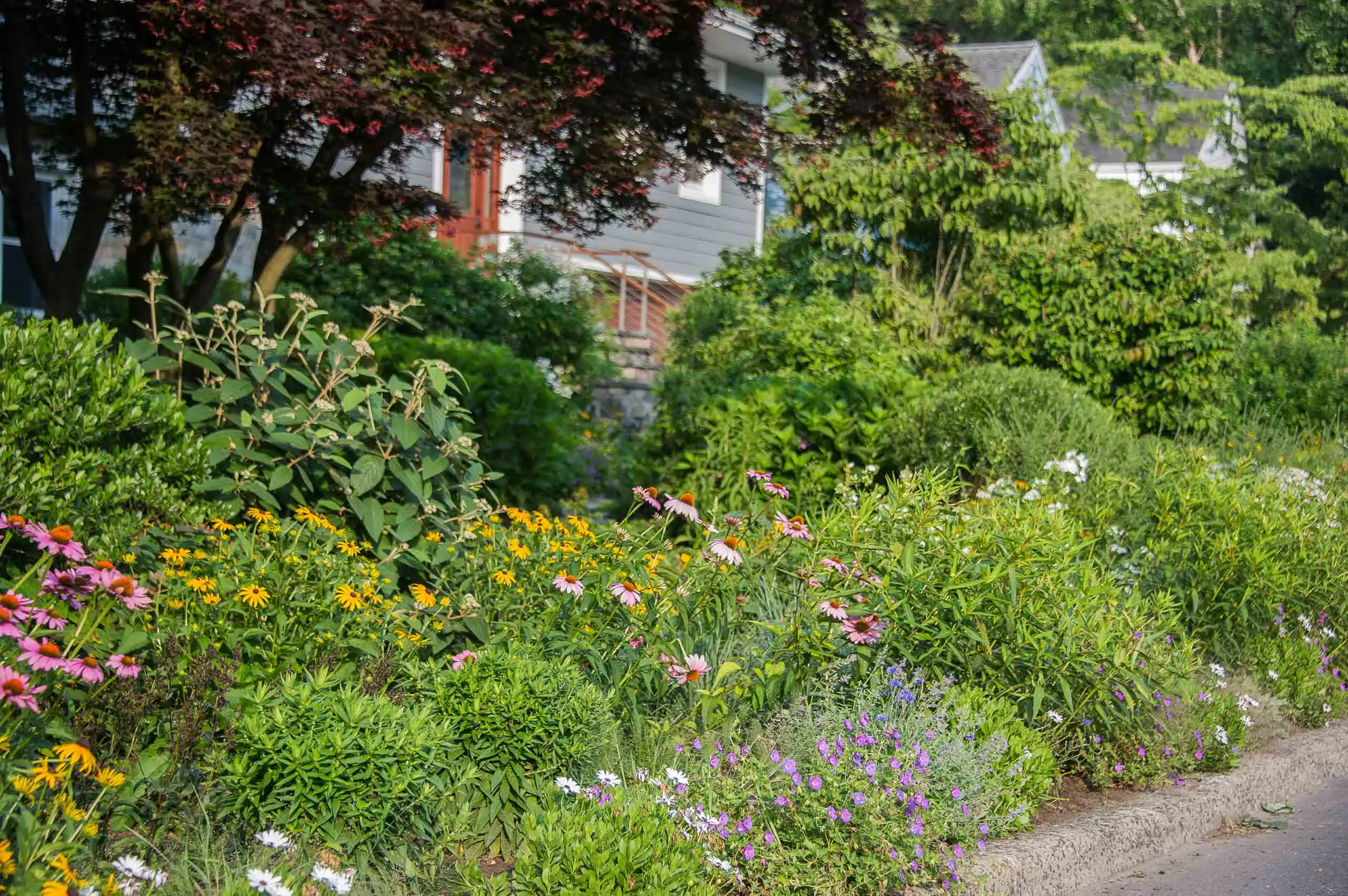Westchester County, NY Landscape Design
