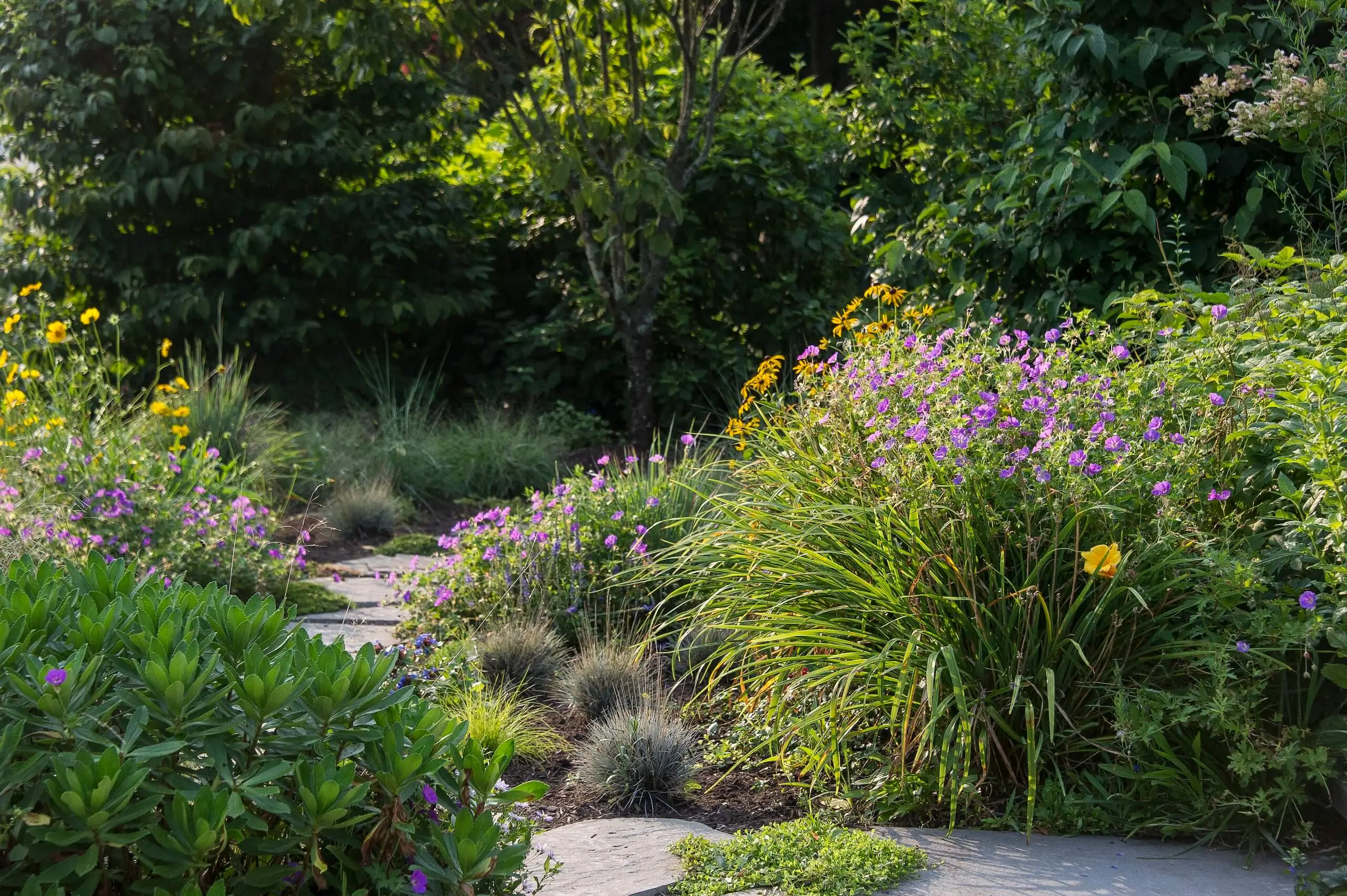 Purchase, NY Garden Design