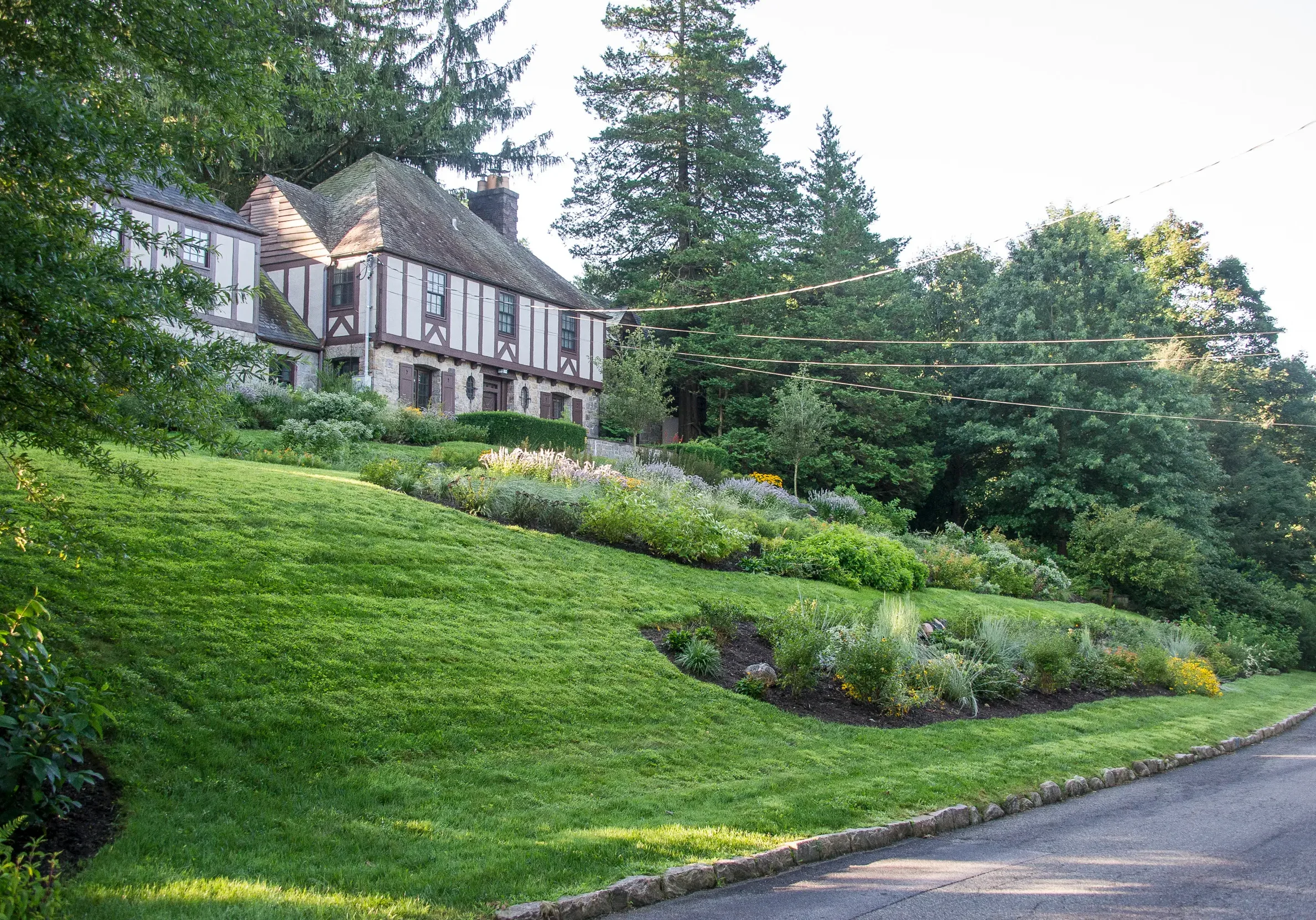 The three terraced garden beds interrupt the monotony of the front yard and absorb stormwater. The three terraced garden beds interrupt the monotony of the front yard and absorb stormwater.