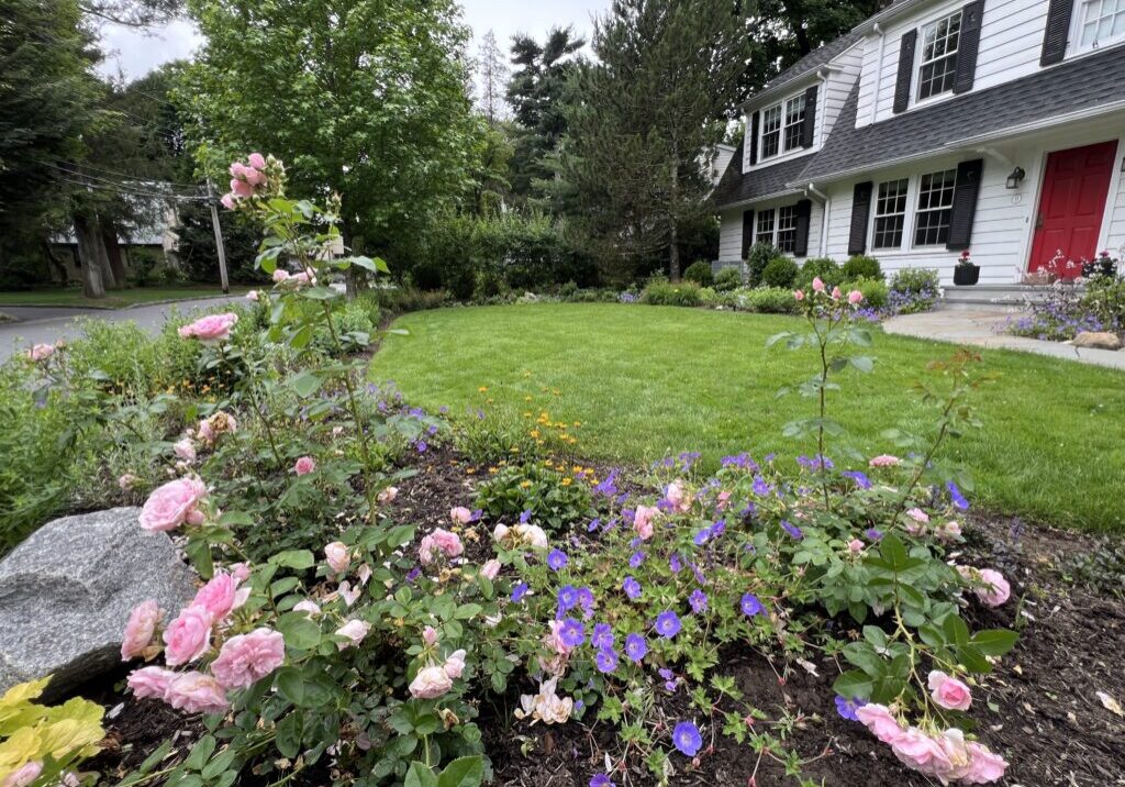 Cottage garden with a native plants enhances this front yard.